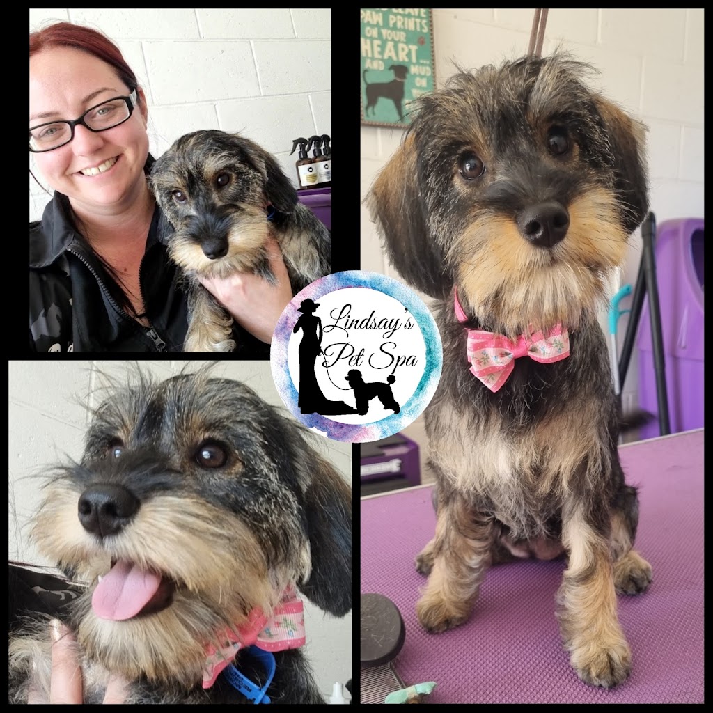 Lindsays Pet Spa | 2/19 Michael Ave, Morayfield QLD 4506, Australia | Phone: 0488 052 933