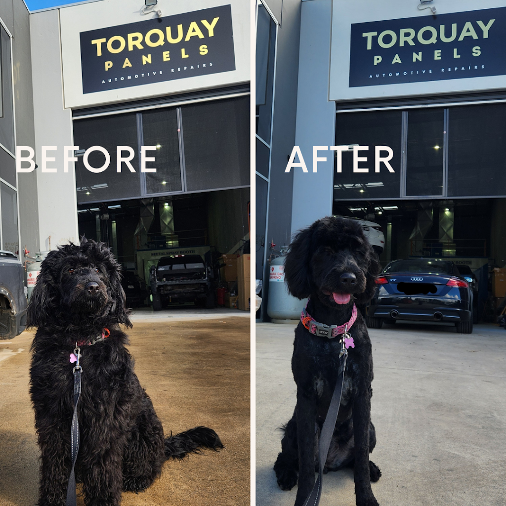 Torquay Panels Automotive Repairs | 4/8 Sawmills Way, Torquay VIC 3228, Australia | Phone: (03) 5264 7851