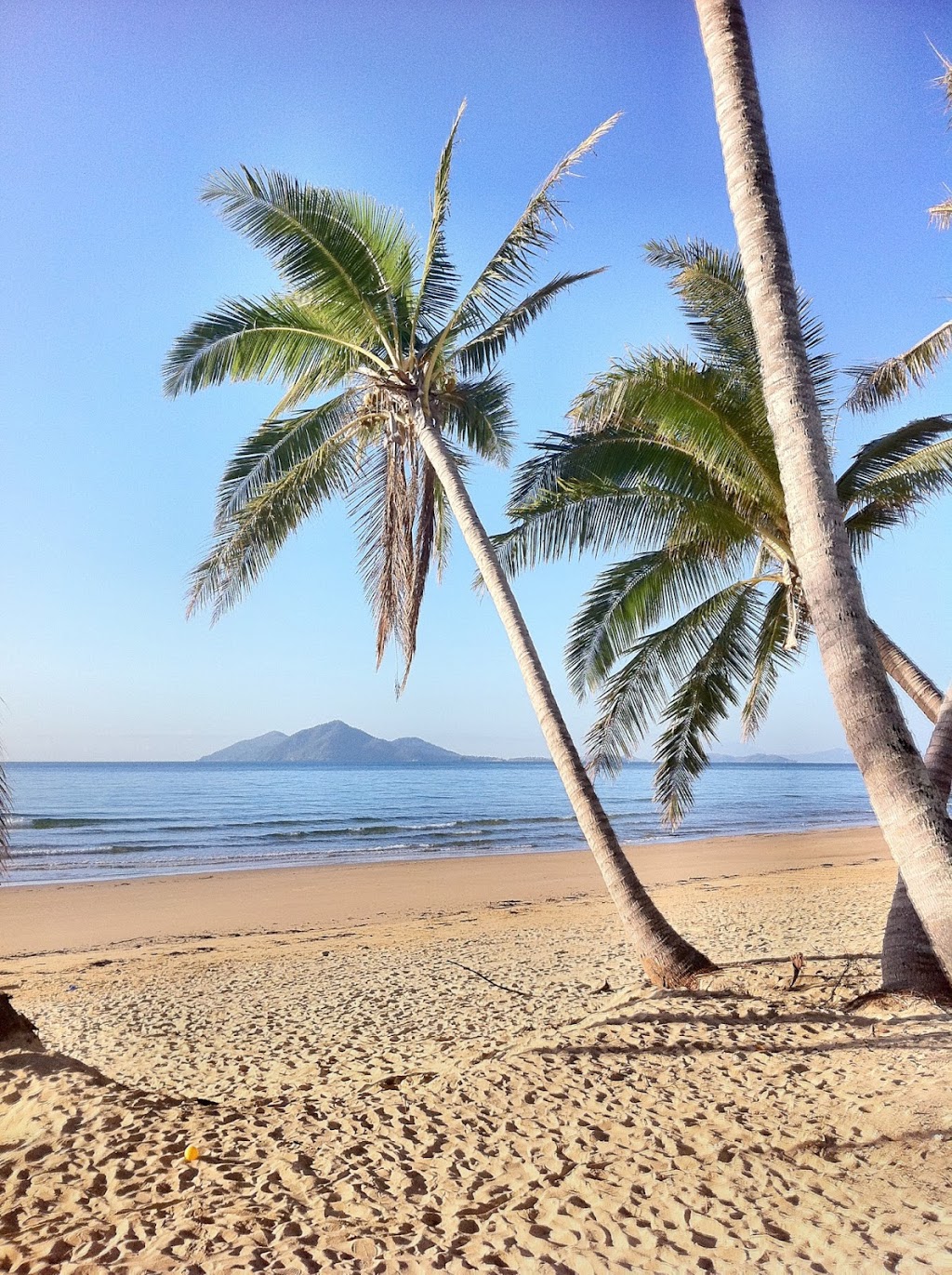 Mission Beach Visitor Information Centre | 55 Porter Promenade, Mission Beach QLD 4852, Australia | Phone: (07) 4068 7099