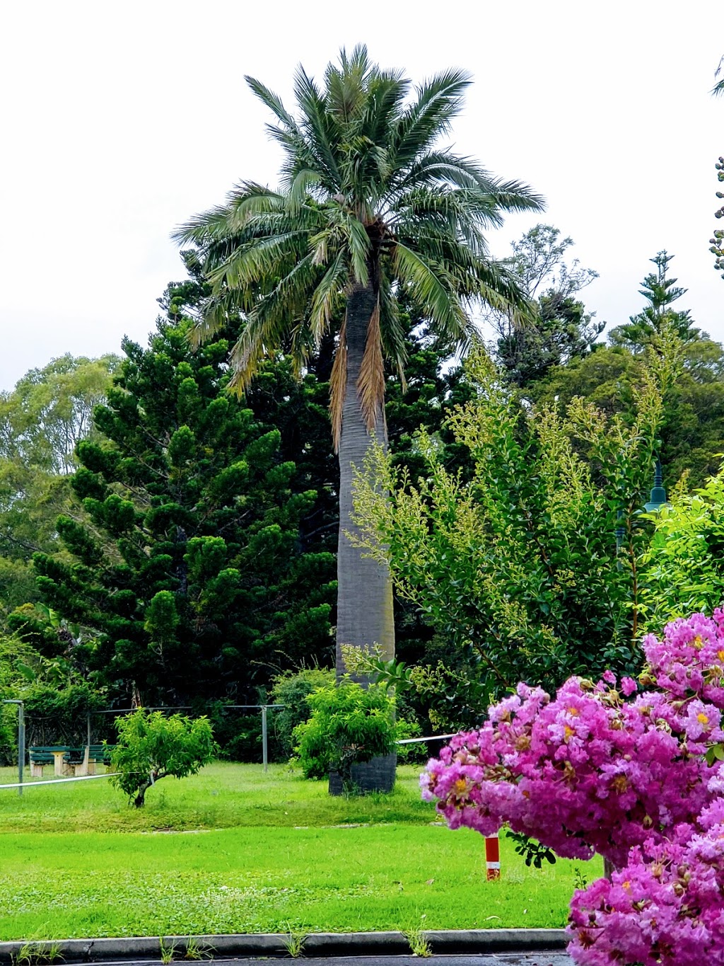 Wistaria Gardens | Westmead NSW 2145, Australia | Phone: (02) 9840 3000