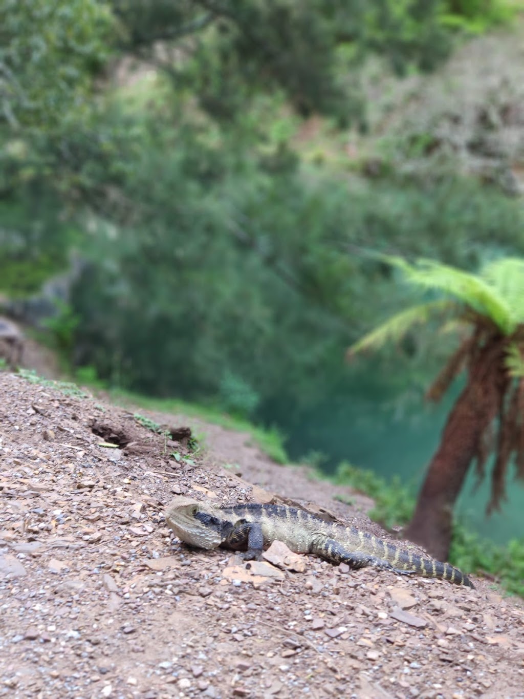 Jenolan caves house | 4655 Jenolan Caves Rd, Jenolan NSW 2790, Australia | Phone: (02) 6359 3911