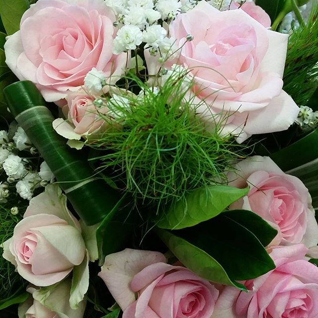 White Jasmine | florist | 22 Blackall St, Woombye QLD 4559, Australia | 0754421500 OR +61 7 5442 1500