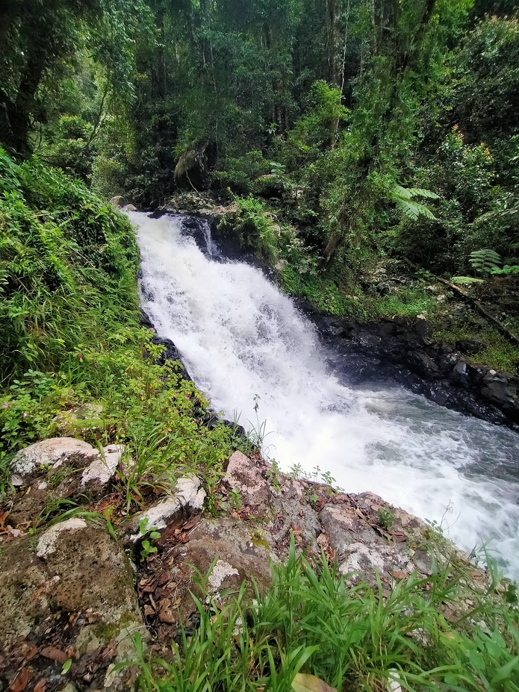 Souita Falls | tourist attraction | Middlebrook QLD 4886, Australia | 0740914222 OR +61 7 4091 4222