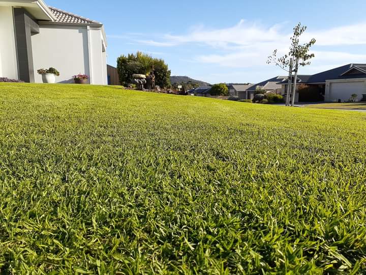 Albany Lawn Mowing |  | 15 Marine Terrace, Little Grove WA 6330, Australia | 0402189688 OR +61 402 189 688