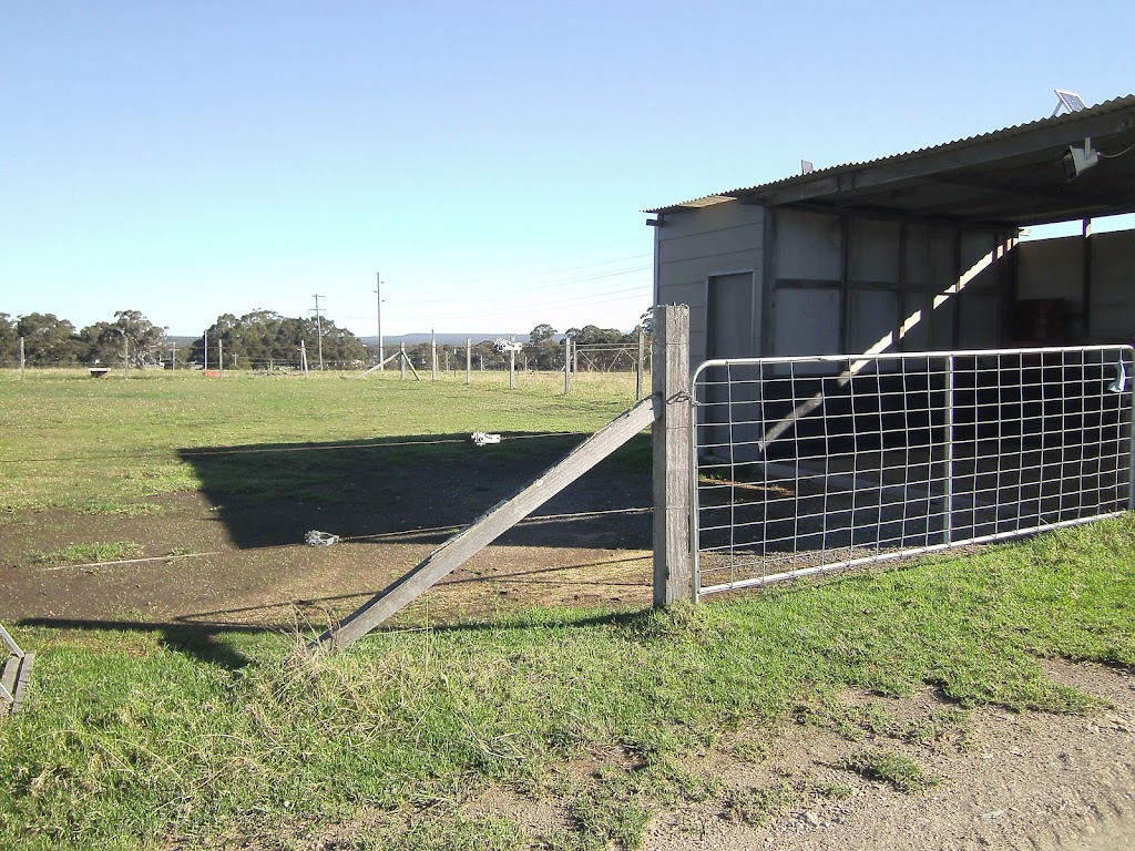 Lazy J Horse Agistment | D515 Princes Hwy, Comberton NSW 2540, Australia | Phone: 0415 404 202