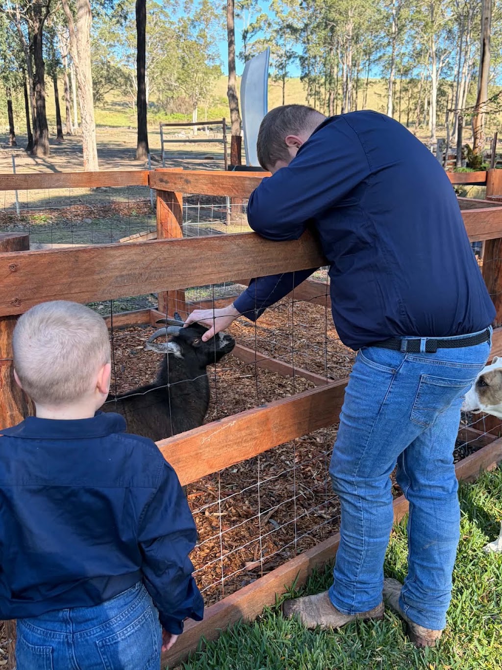Harmony Thera Petz & Farm Stay | 13911 Pacific Hwy, Nabiac NSW 2312, Australia | Phone: 0422 851 014