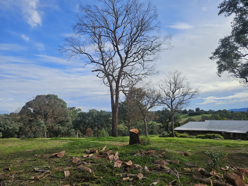 The Green Machine Property Services and Fire Wood Supplier | 180 Riverview Drive Kialla, Shepparton VIC 3630, Australia | Phone: 0428 319 363