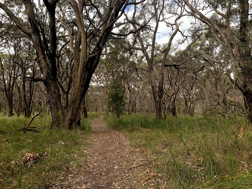 TC McKellar Circuit Walk | Tc McKellar Circuit Walk, Arthurs Seat VIC 3936, Australia