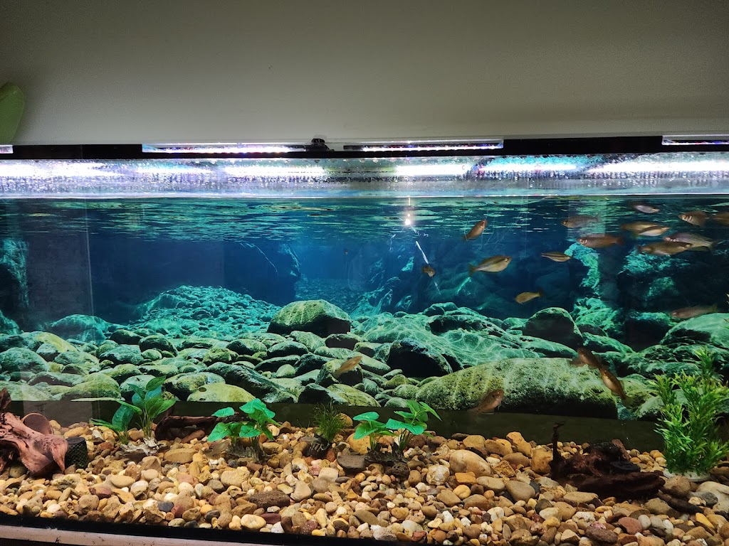 Gardens of Stone Visitors Centre | 35 Crane Rd, Cobar Park NSW 2790, Australia | Phone: (02) 6352 1133