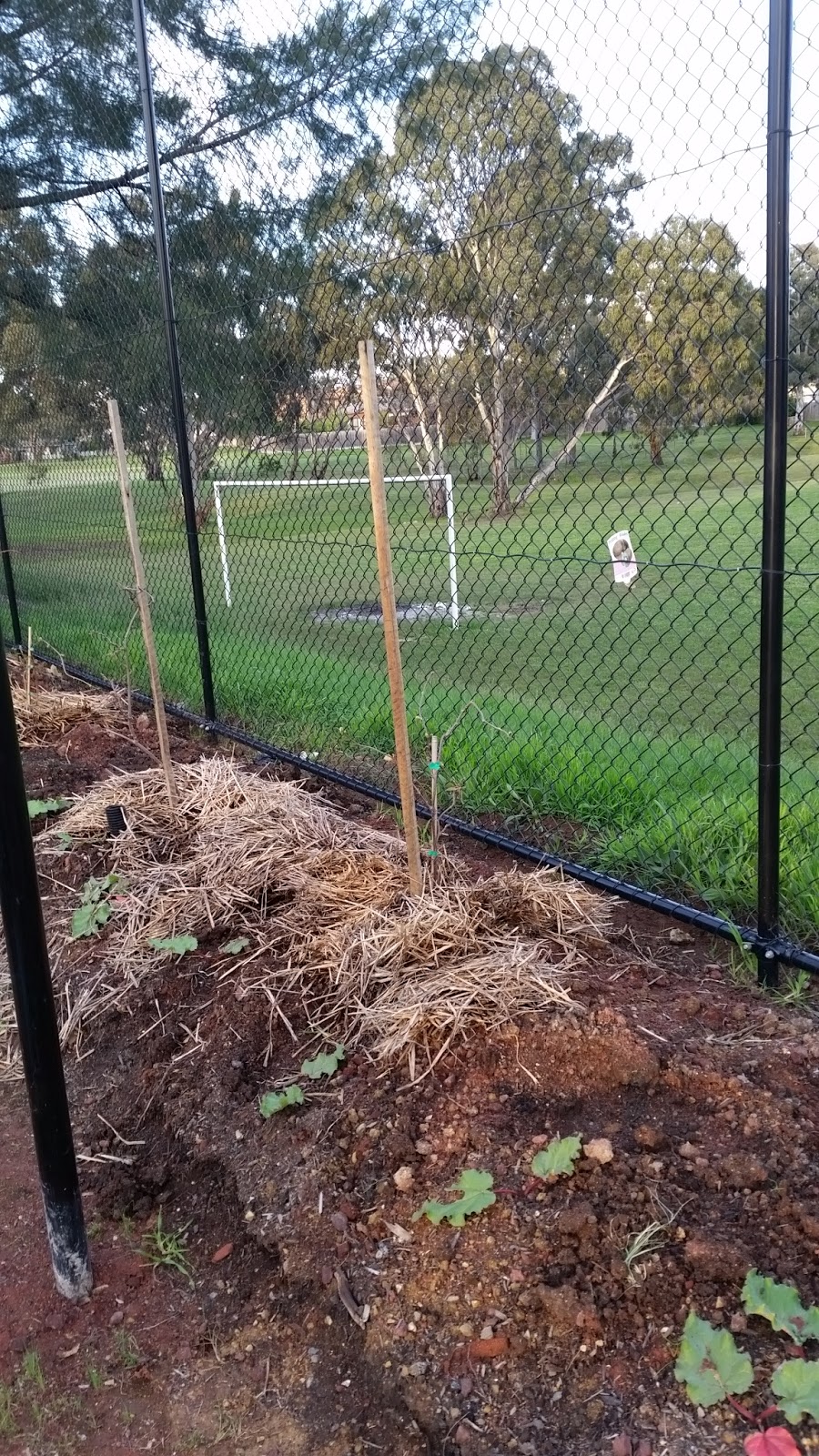 Macleod Organic Community Garden | park | Somers Avenue 500m north of May St c/o 18 May st for postal, Macleod VIC 3085, Australia | 0418404265 OR +61 418 404 265