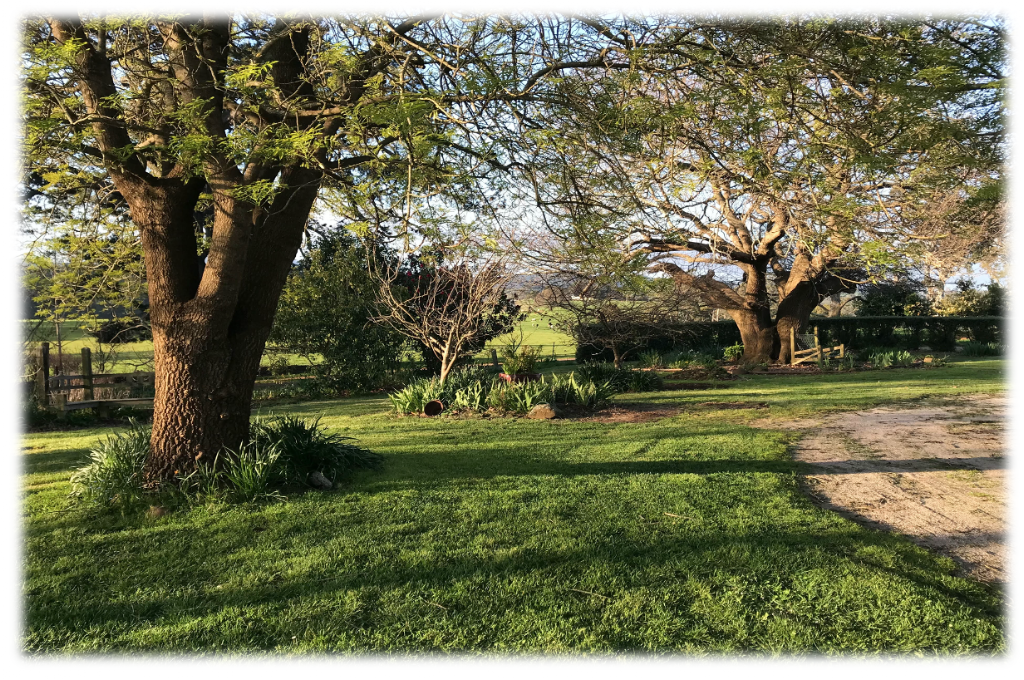 TumTots Family Day Care Service | 37 Legerwood Ln, Legerwood TAS 7263, Australia | Phone: 0497 264 609