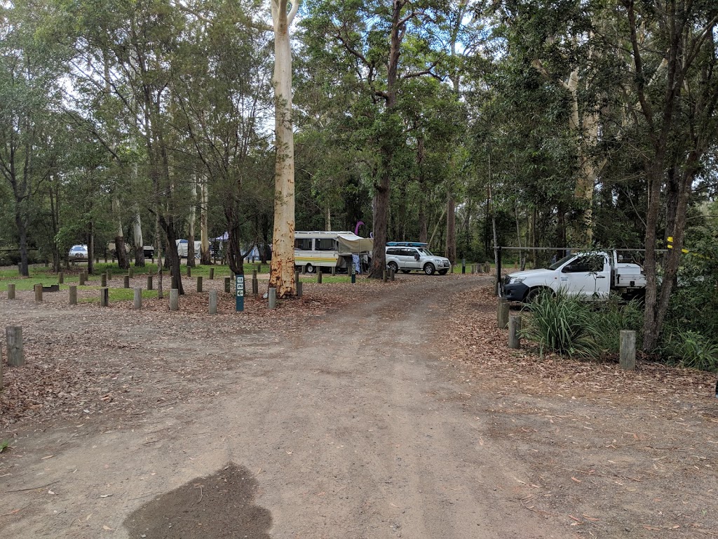 Coochin Creek camping area, Beerwah State Forest | park | Roys Rd, Coochin Creek QLD 4519, Australia