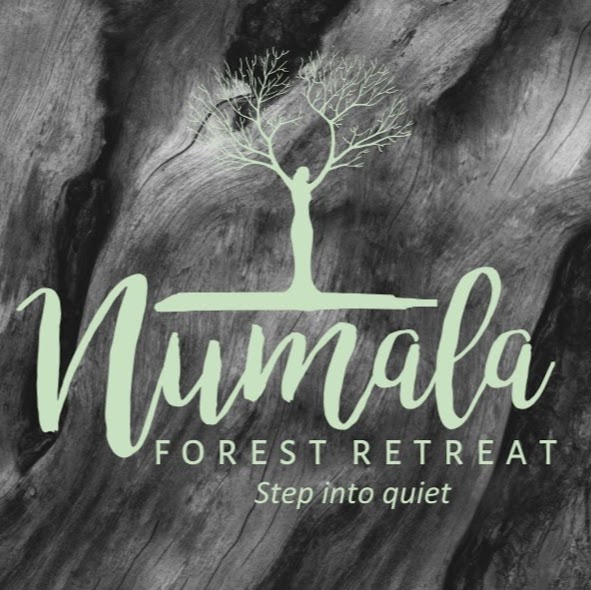 Numala Forest Retreat | health | 120 Davenport Dr, Bonogin QLD 4213, Australia | 0435169474 OR +61 435 169 474