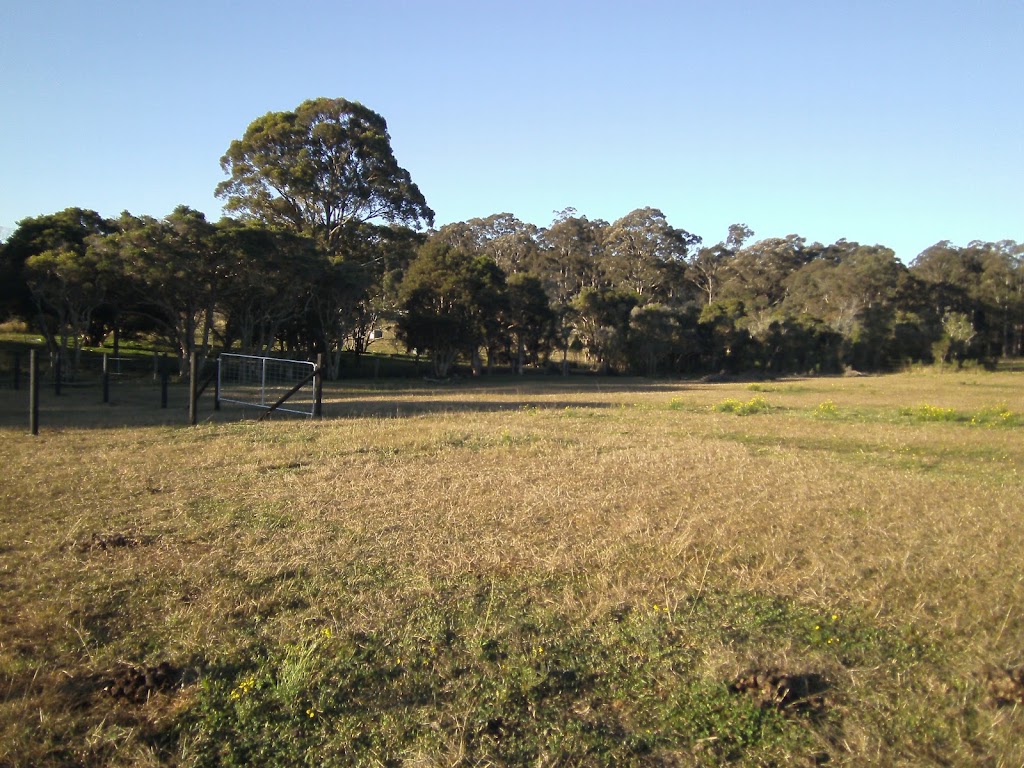 Lazy J Horse Agistment | D515 Princes Hwy, Comberton NSW 2540, Australia | Phone: 0415 404 202