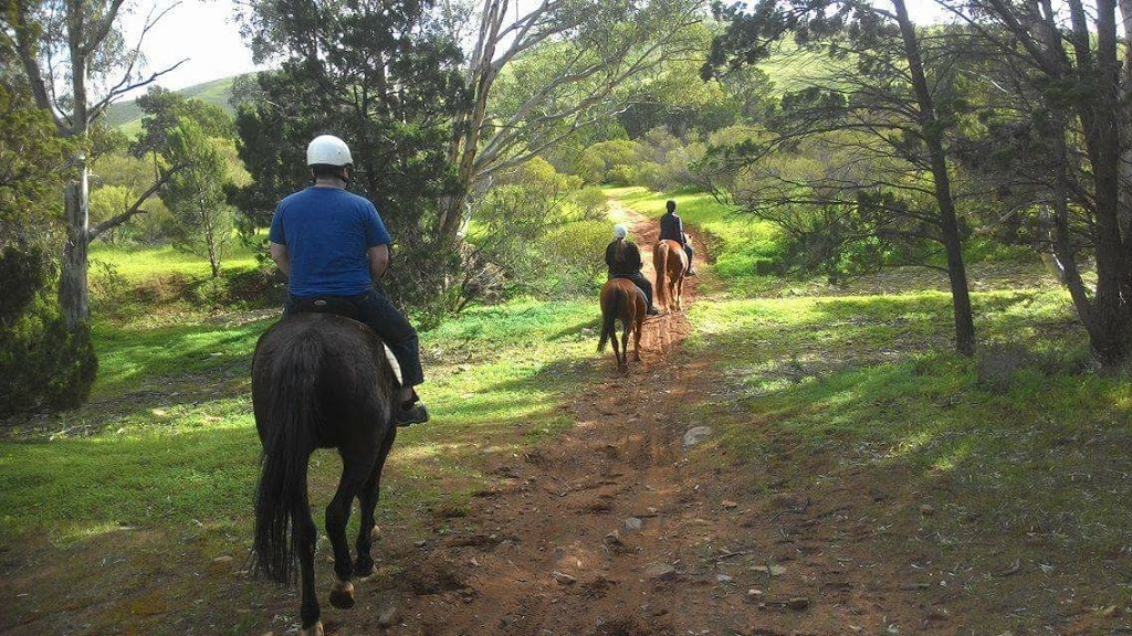 RUSTY’S RIDING RETREAT | 97 Three Chain Rd, Sanderston SA 5237, Australia | Phone: 0439 581 124