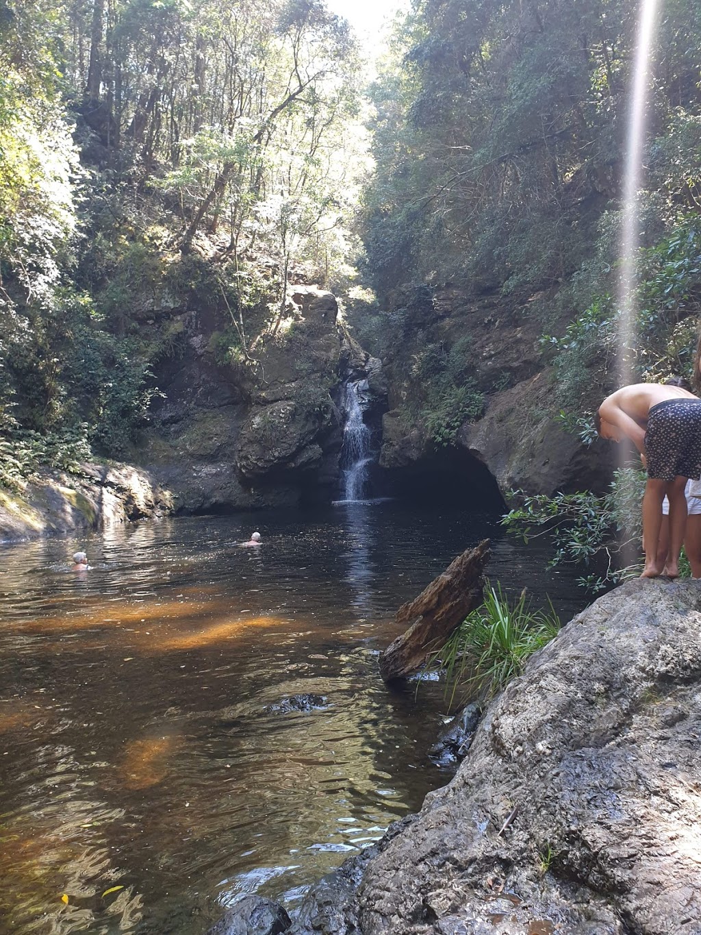 Tapin Tops National Park | park | Dingo Forest NSW 2429, Australia | 0265885555 OR +61 2 6588 5555