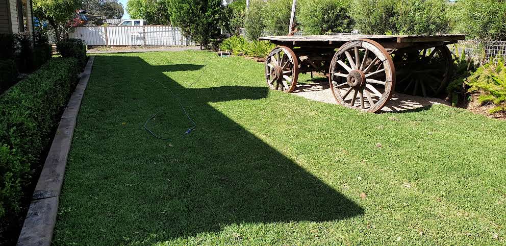 Green Life Turf Hunter Valley | 420 Long Point Rd E, Long Point NSW 2330, Australia | Phone: (02) 4587 8711