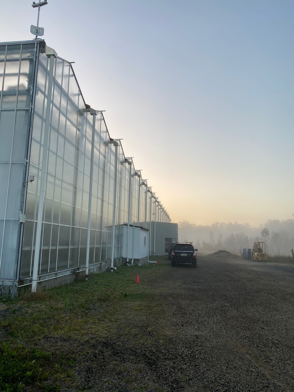 Allegro Farm | 12 Archer Rd, Spring Creek QLD 4343, Australia | Phone: 0403 245 522