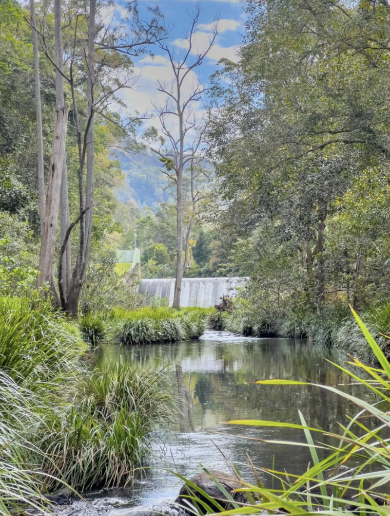 The Gingerbread House | 27 Dalton Rd, Tallebudgera Valley QLD 4228, Australia | Phone: 0400 721 439