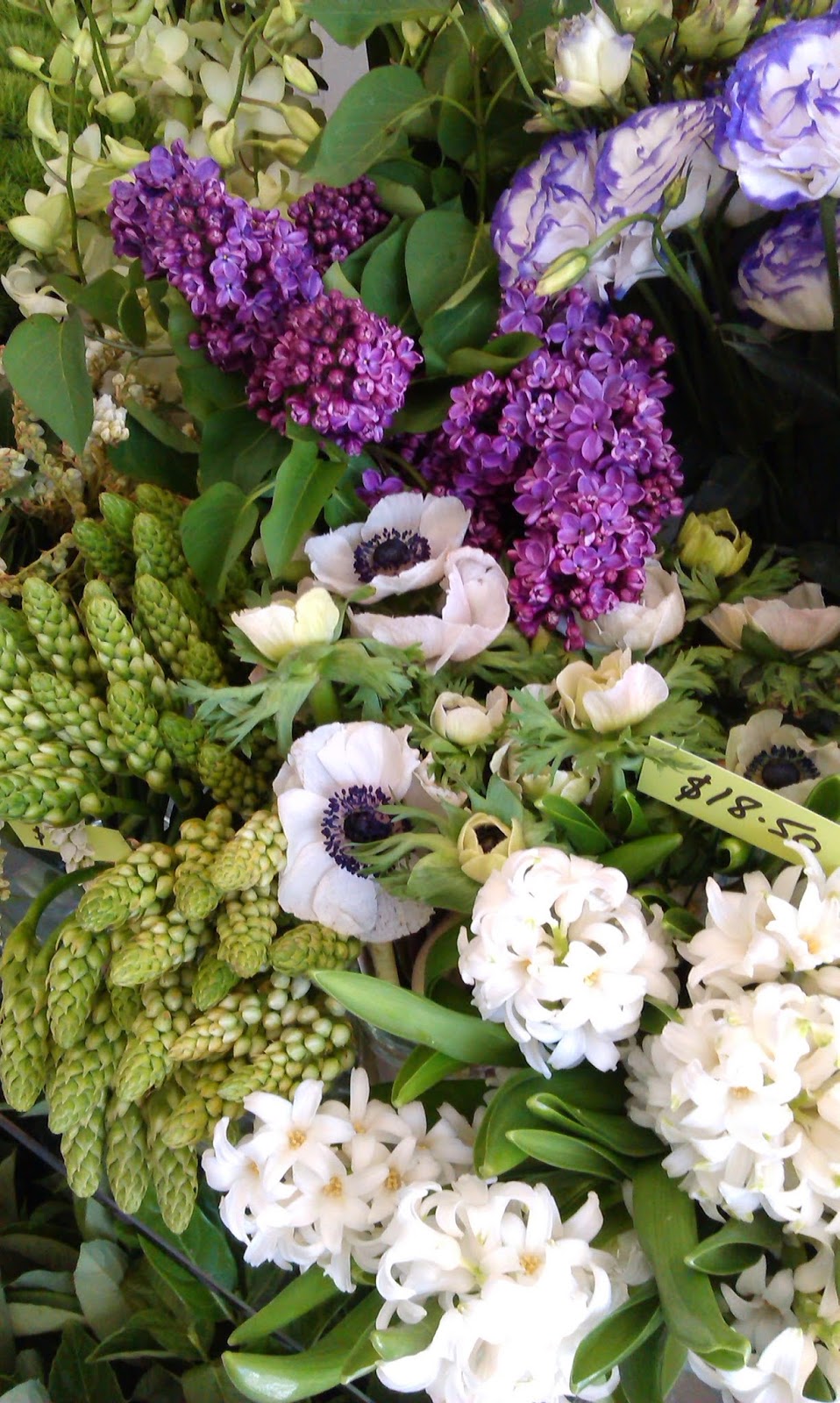 Evie Blue Flowers | florist | 5/203 Gympie Terrace, Noosaville QLD 4566, Australia | 0754740790 OR +61 7 5474 0790