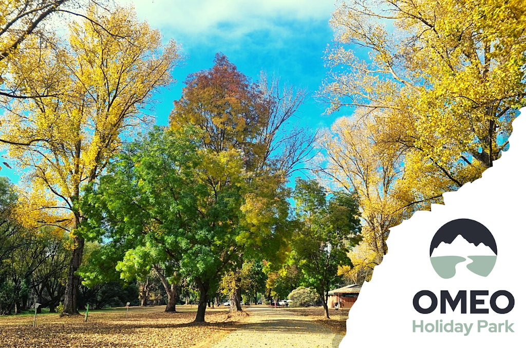 Omeo Holiday Park | rv park | 111 Old Omeo Hwy, Omeo VIC 3898, Australia | 0351525646 OR +61 3 5152 5646