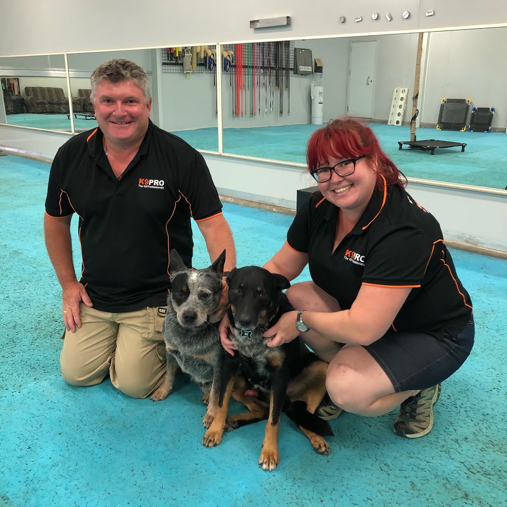K9 Pro - The K9 Professionals | 301-307 Londonderry Rd, Londonderry NSW 2753, Australia | Phone: (02) 4578 9789