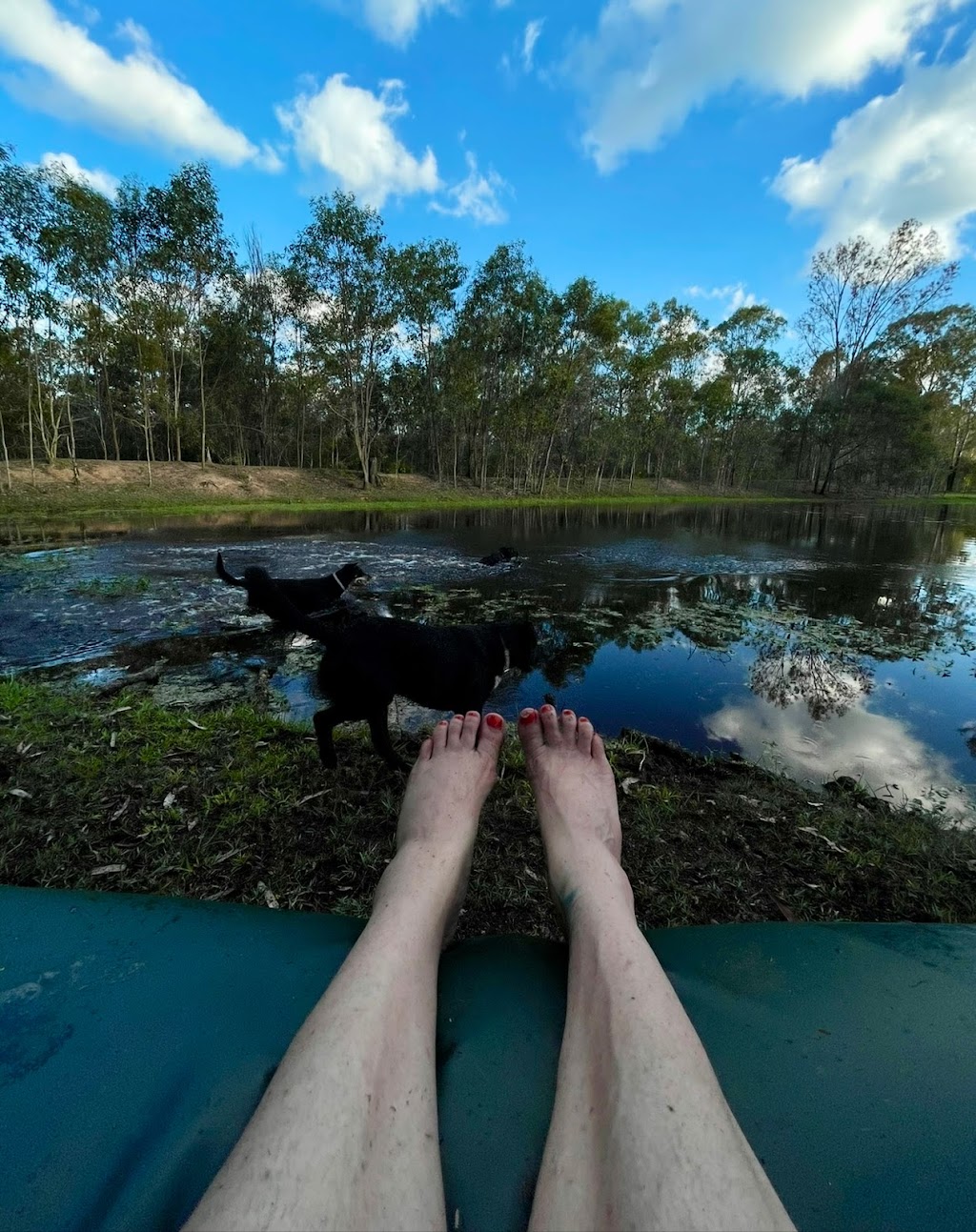 Seehorse Meadows | 39 Jamieson Rd, Churchable QLD 4311, Australia | Phone: 0433 263 783