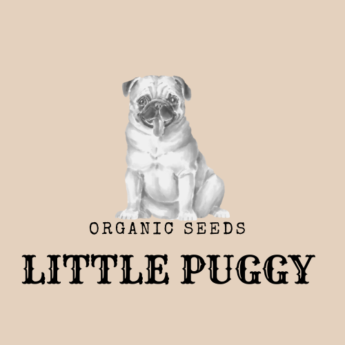 LITTLE PUGGY | food | 277 Stanley Rd, Carina QLD 4152, Australia | 0434138699 OR +61 434 138 699