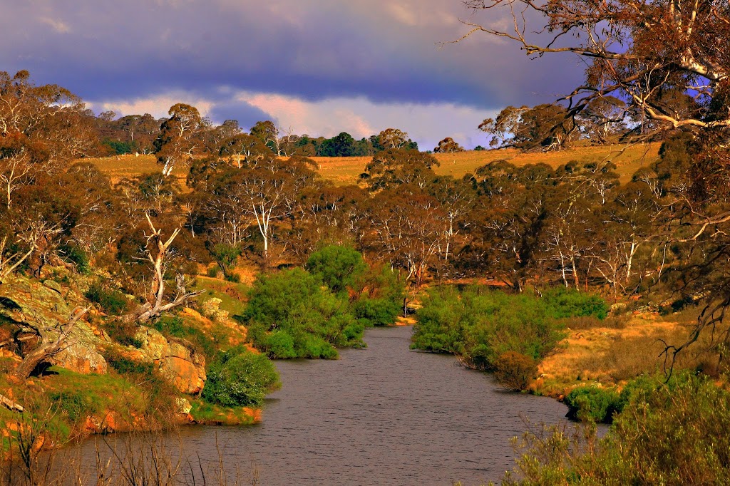 Bombala Platypus Reserve | park | Delegate Rd, Bombala NSW 2632, Australia | 0264584622 OR +61 2 6458 4622