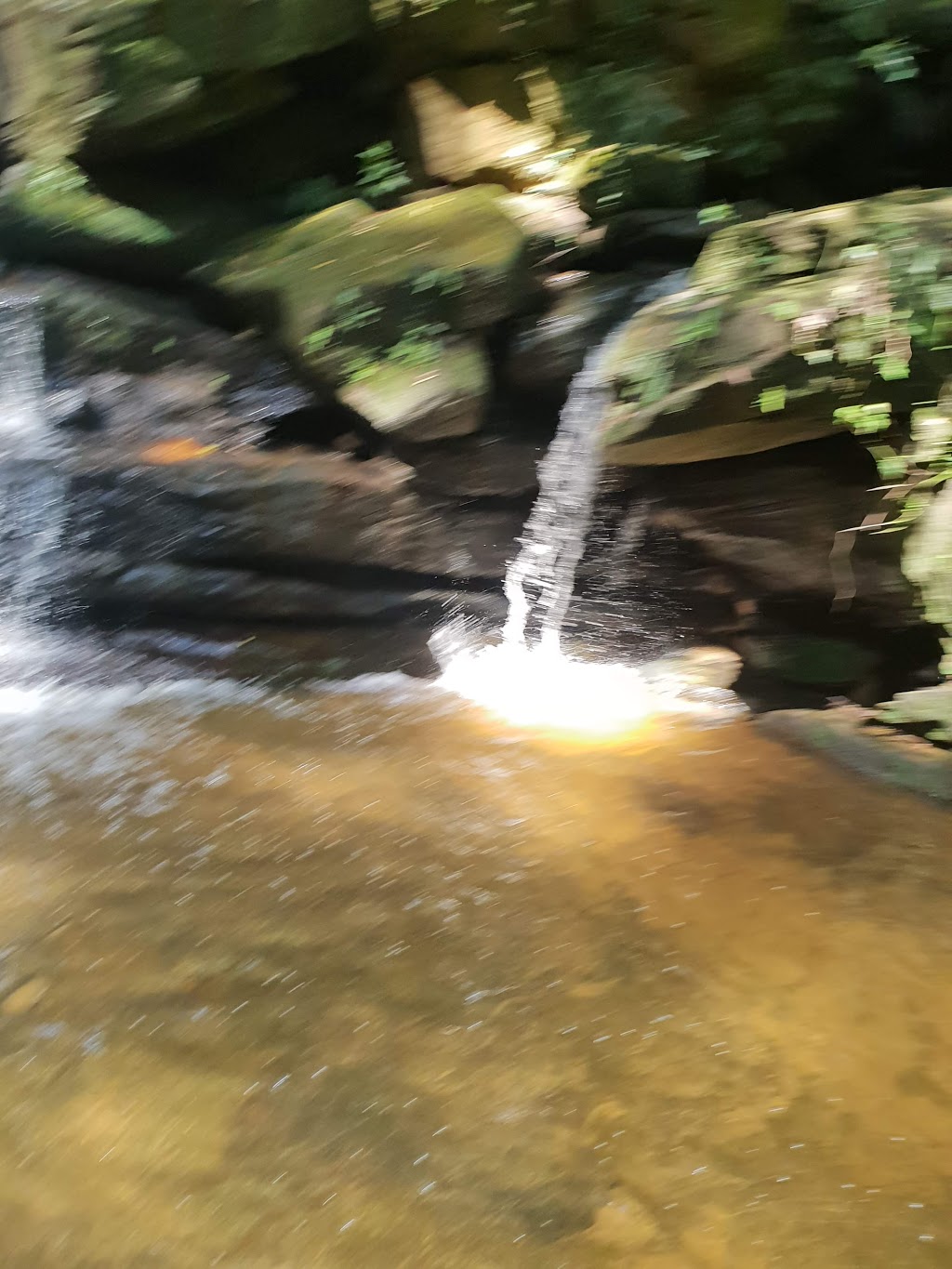 Somersby Falls | park | Somersby Falls Walking Track, Somersby NSW 2250, Australia