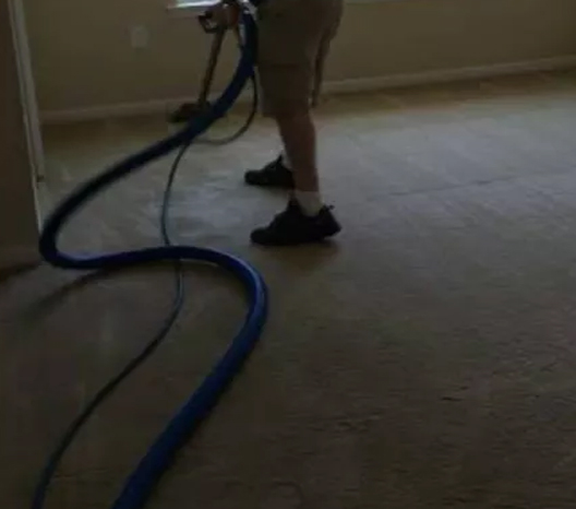 Deluxe Carpet Cleaning Warragul | 139 Queen St, Warragul VIC 3820, Australia | Phone: (03) 9068 6257