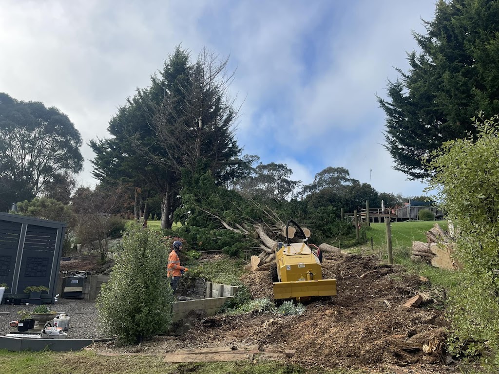 Pakenham tree services | Bate Cl, Pakenham VIC 3810, Australia | Phone: 0474 762 445