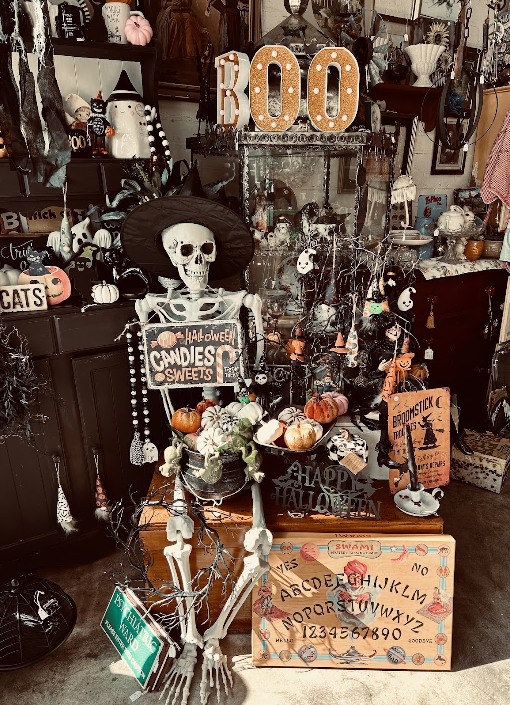 Petit Velo Rochester | Unit 2/41 Moore St, Rochester VIC 3561, Australia | Phone: 0448 555 154