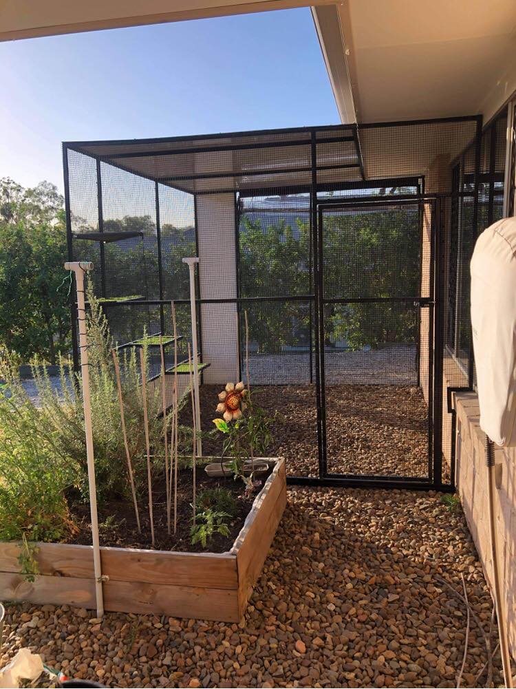 Exotic Aviaries | 1 Bell St, Jimboomba QLD 4285, Australia | Phone: 0435 533 087