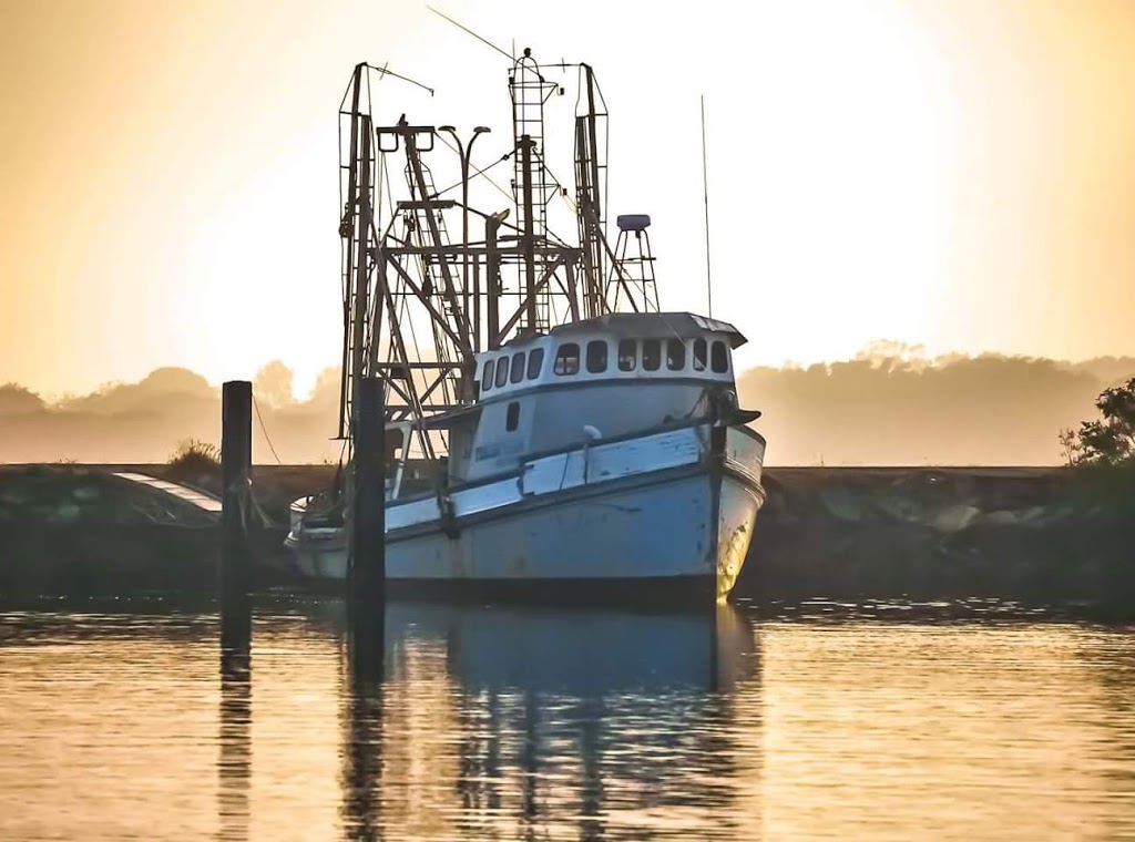 Yamba Boat Harbour Marina | 3 Yamba Rd, Yamba NSW 2464, Australia | Phone: (02) 6646 9245