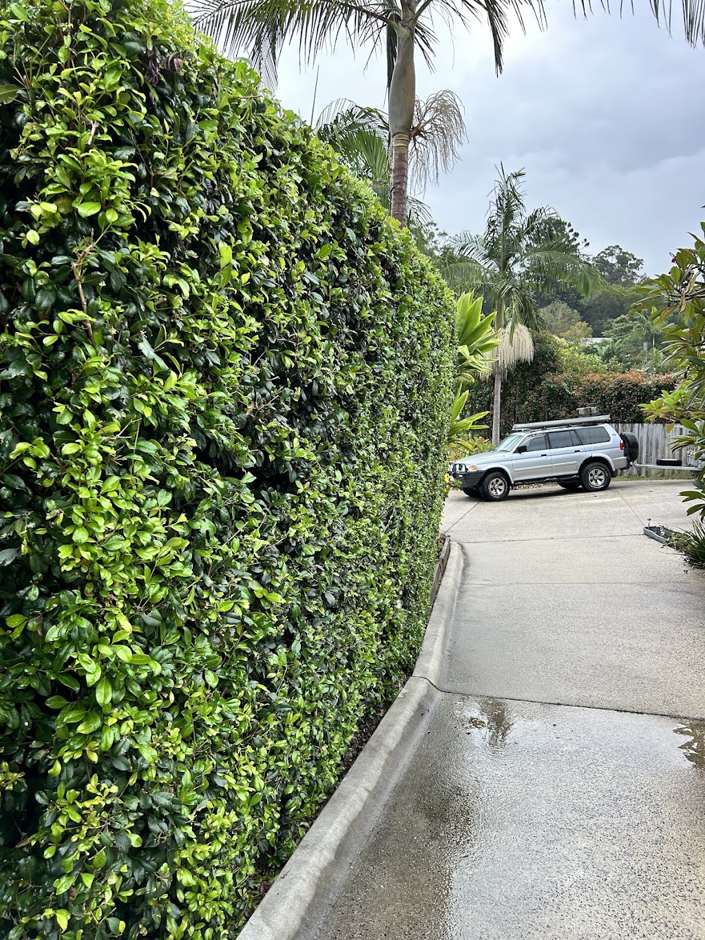 Pepos Gardens | 139 Possum Creek Rd, Bangalow NSW 2479, Australia | Phone: 0413 406 597