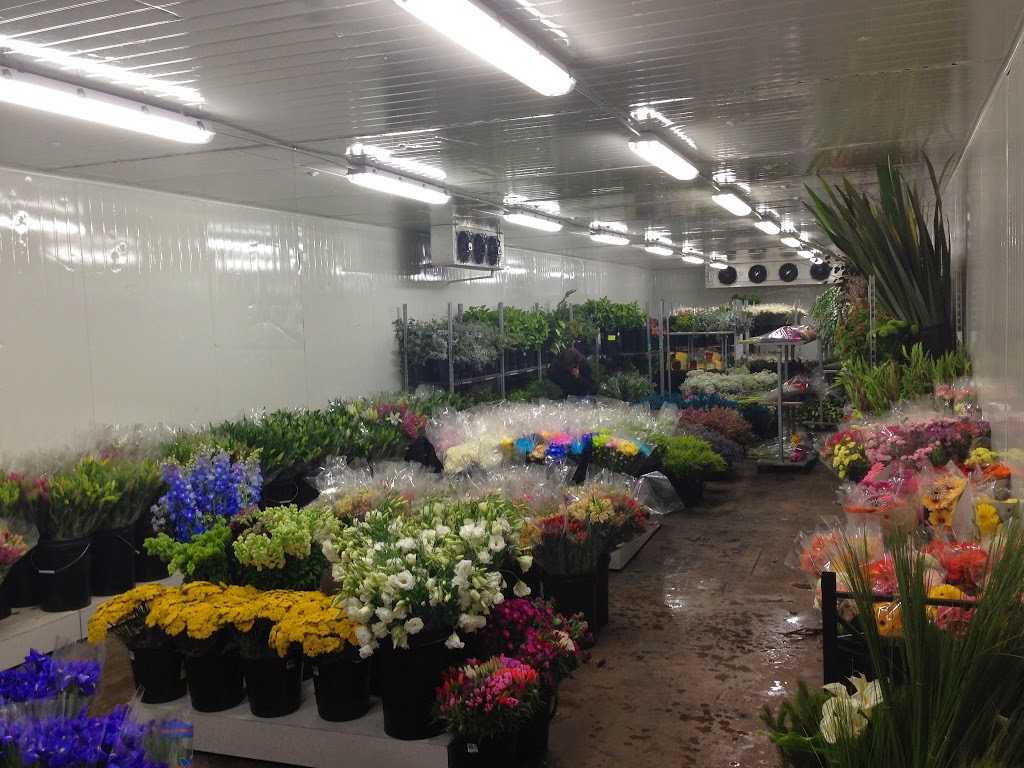 Michael Tesselaar Wholesale Flowers TOWNSVILLE | 29 Hamill St, Garbutt QLD 4814, Australia | Phone: (07) 4755 2010