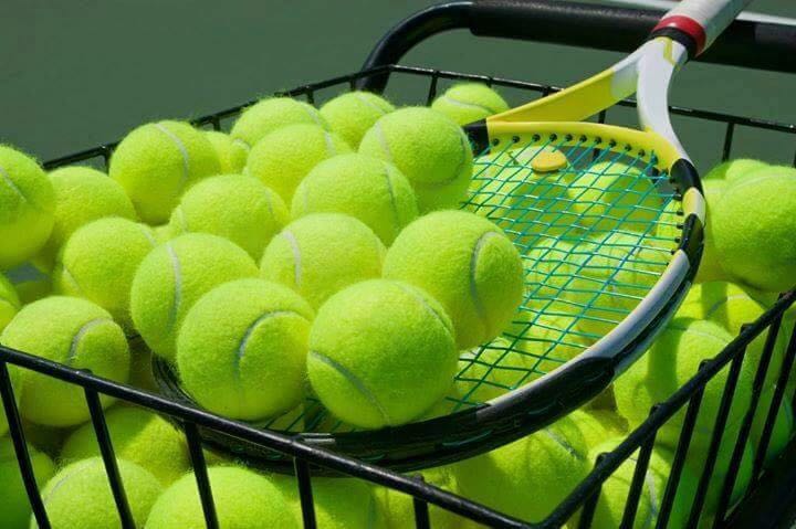 Velocity Tennis Coaching | store | 13 Neville St, Wantirna South VIC 3152, Australia | 0398005862 OR +61 3 9800 5862