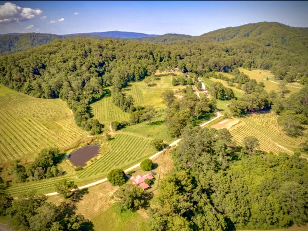 Under The Tree Cottage | 49A Kings Ridge Forest Rd, Coramba NSW 2450, Australia | Phone: 0499 881 849