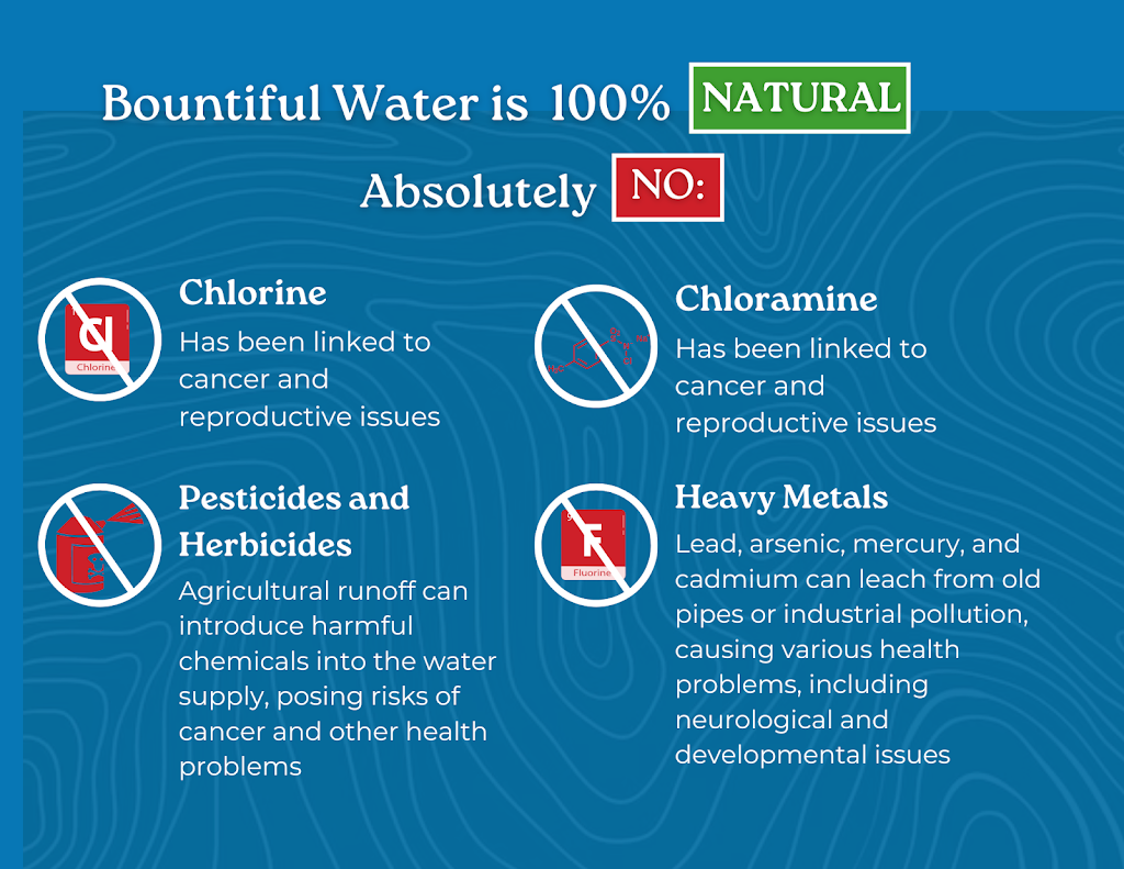 Bountiful Water | 1366 Currumbin Creek Rd, Currumbin Valley QLD 4223, Australia | Phone: 0478 511 759