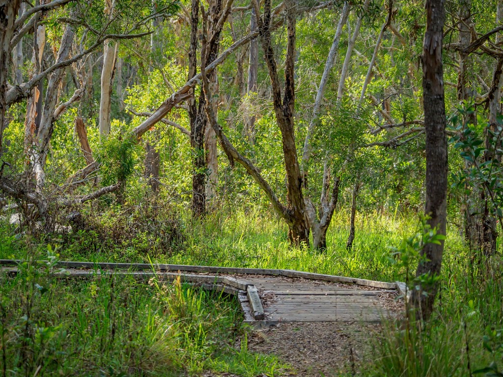 Police Paddock Conservation Park | Tinana QLD 4650, Australia