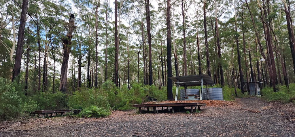 Connect Adventures - Gidjuum Gulganyi Walk | Minyon Dr, Whian Whian NSW 2480, Australia | Phone: 0492 981 811