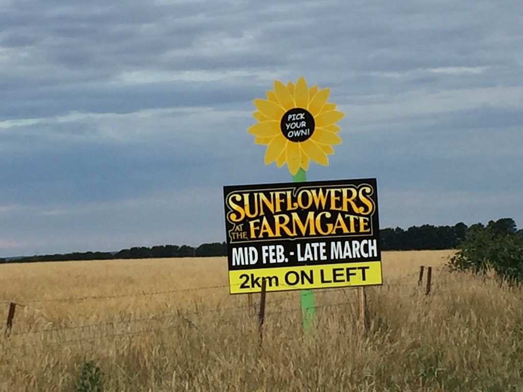 Sunflowers at The Farmgate | grocery or supermarket | 2 Settlement Rd, Elaine VIC 3334, Australia | 0437358307 OR +61 437 358 307