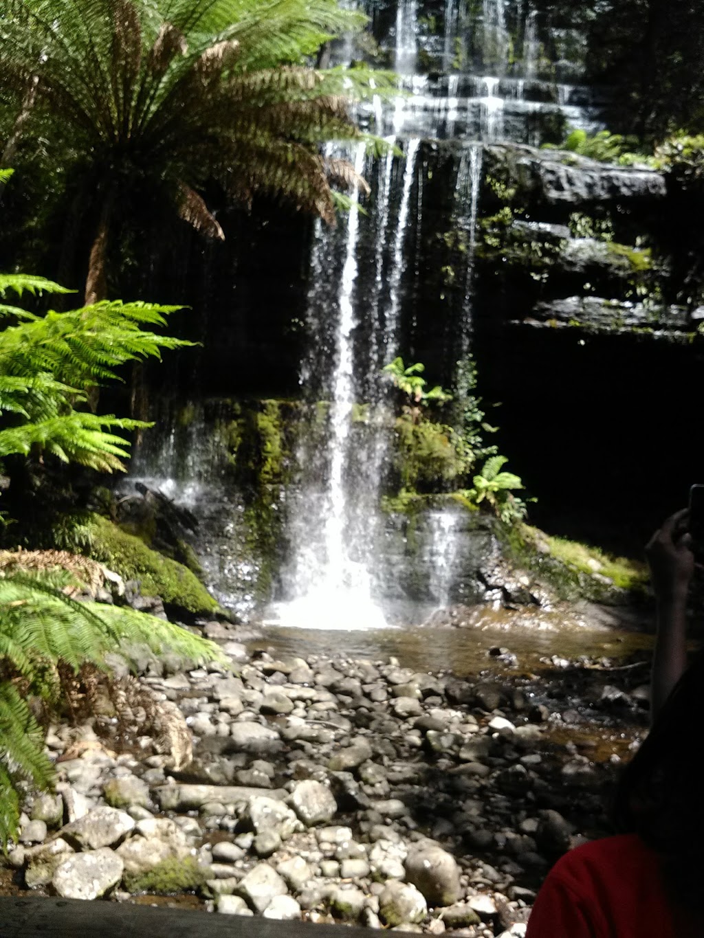 Tasmanian Wilderness Experiences/Base Camp Tasmania | 959 Glenfern Rd, Glenfern TAS 7140, Australia | Phone: (03) 6261 4971