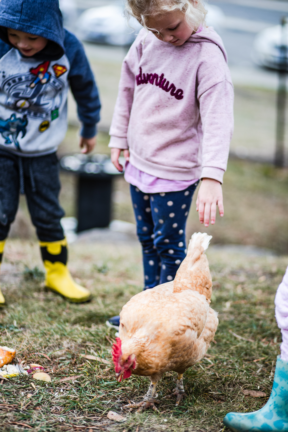 Discovery Early Learning Centre & OSHC - Lauderdale | 15 Acton Rd, Acton Park TAS 7021, Australia | Phone: (03) 6248 7900