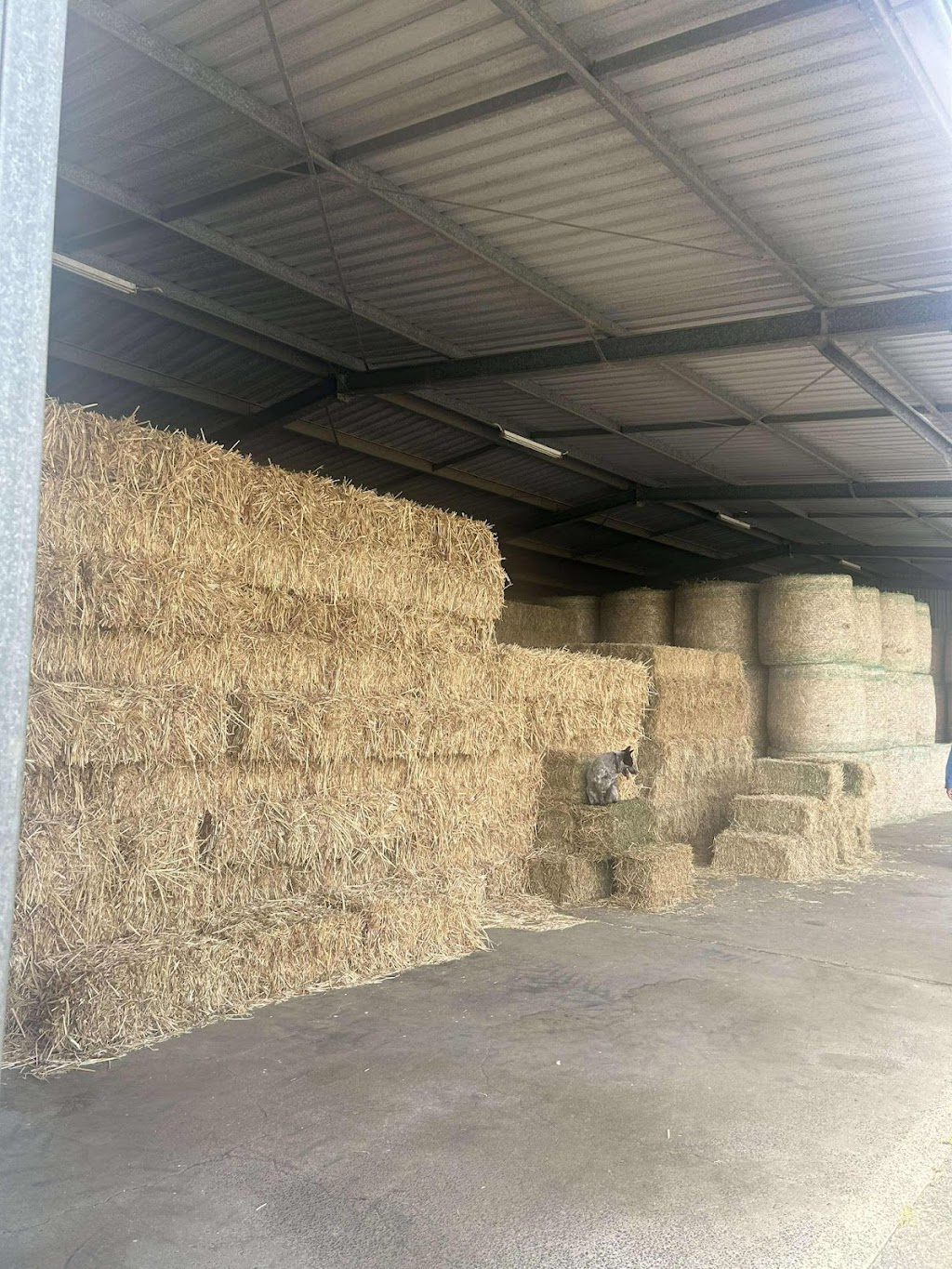 Mount Walker West Hay | FAIRVIEW, Mount Walker West QLD 4340, Australia | Phone: 0447 884 280