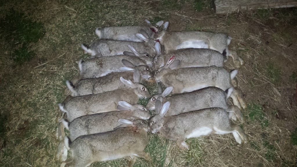 CPR Horticultural Services | 198 Wilson Dr, Hill Top NSW 2575, Australia | Phone: 0415 500 261