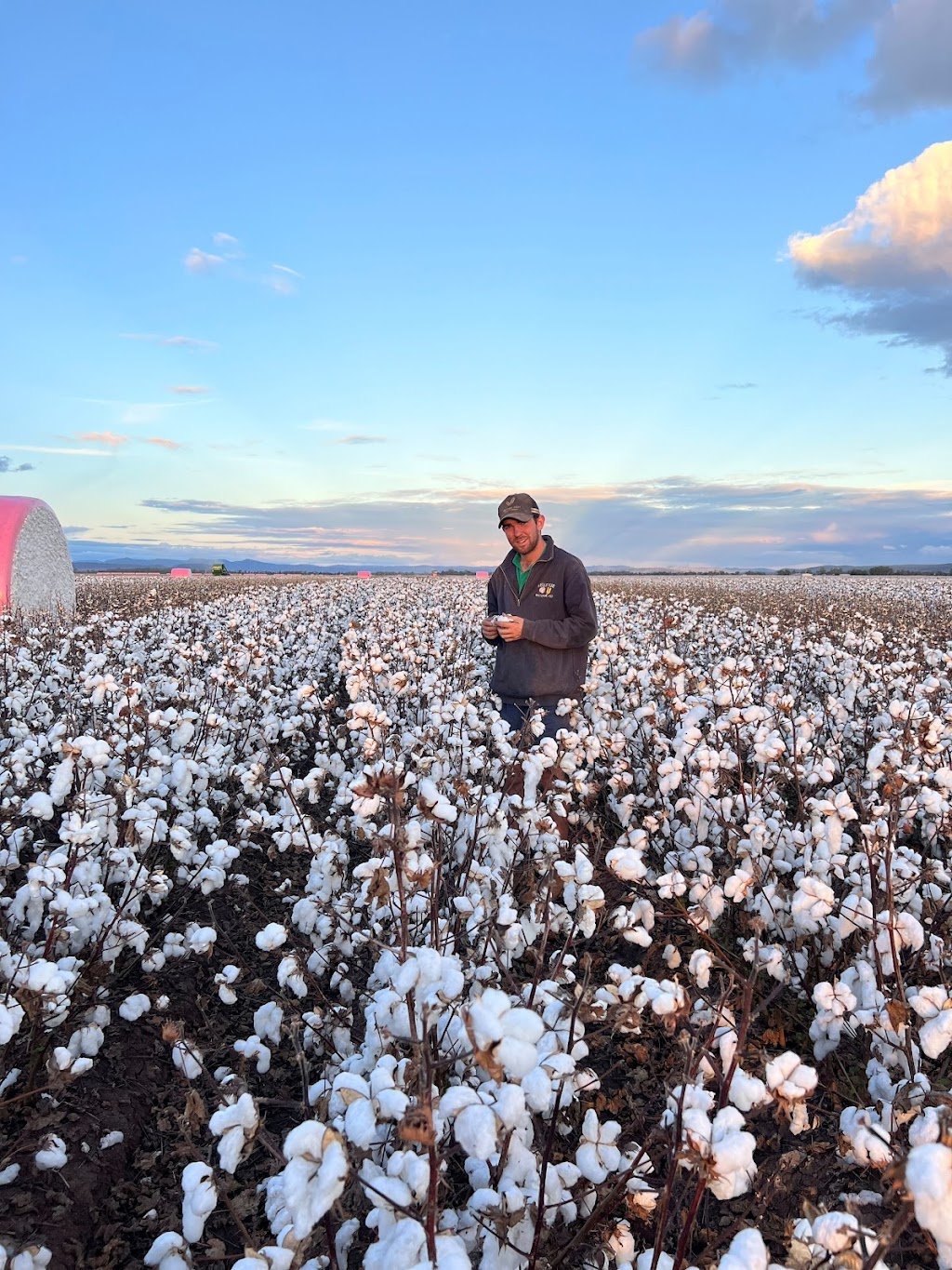 Bellevue Pastoral Company - Narrabri | 930 Browns Ln, Tarriaro NSW 2390, Australia | Phone: 0477 579 533