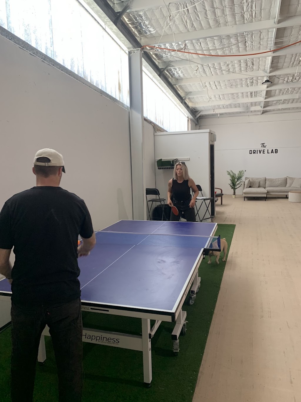 The Drive Lab | Rear Building Upstairs, 79 Scott St, Scone NSW 2337, Australia | Phone: 0468 432 384