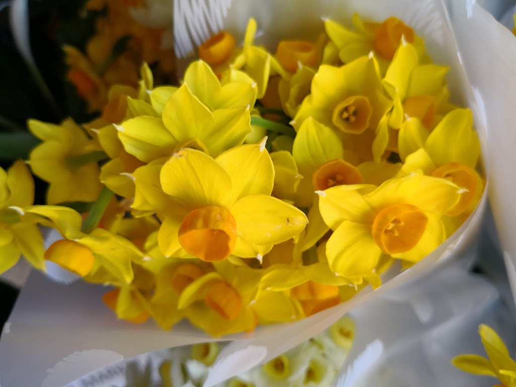 Redcliffe City Florist | florist | 261 Victoria Ave, Redcliffe QLD 4020, Australia | 0738833000 OR +61 7 3883 3000